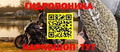 каннабис Кингисепп