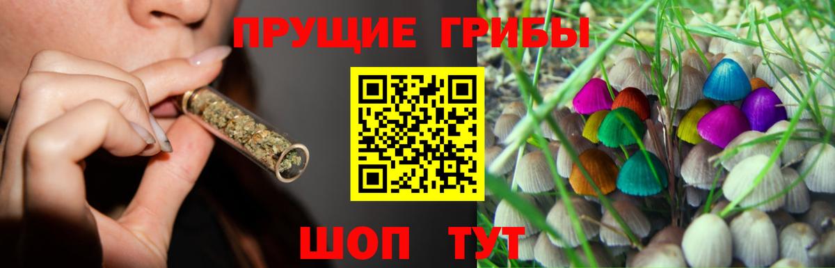 Галлюциногенные грибы ЛСД Костомукша